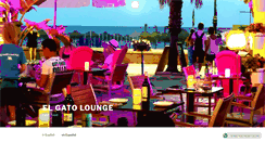 Desktop Screenshot of elgatolounge.com